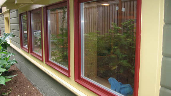 Painted Fir Picture Windows